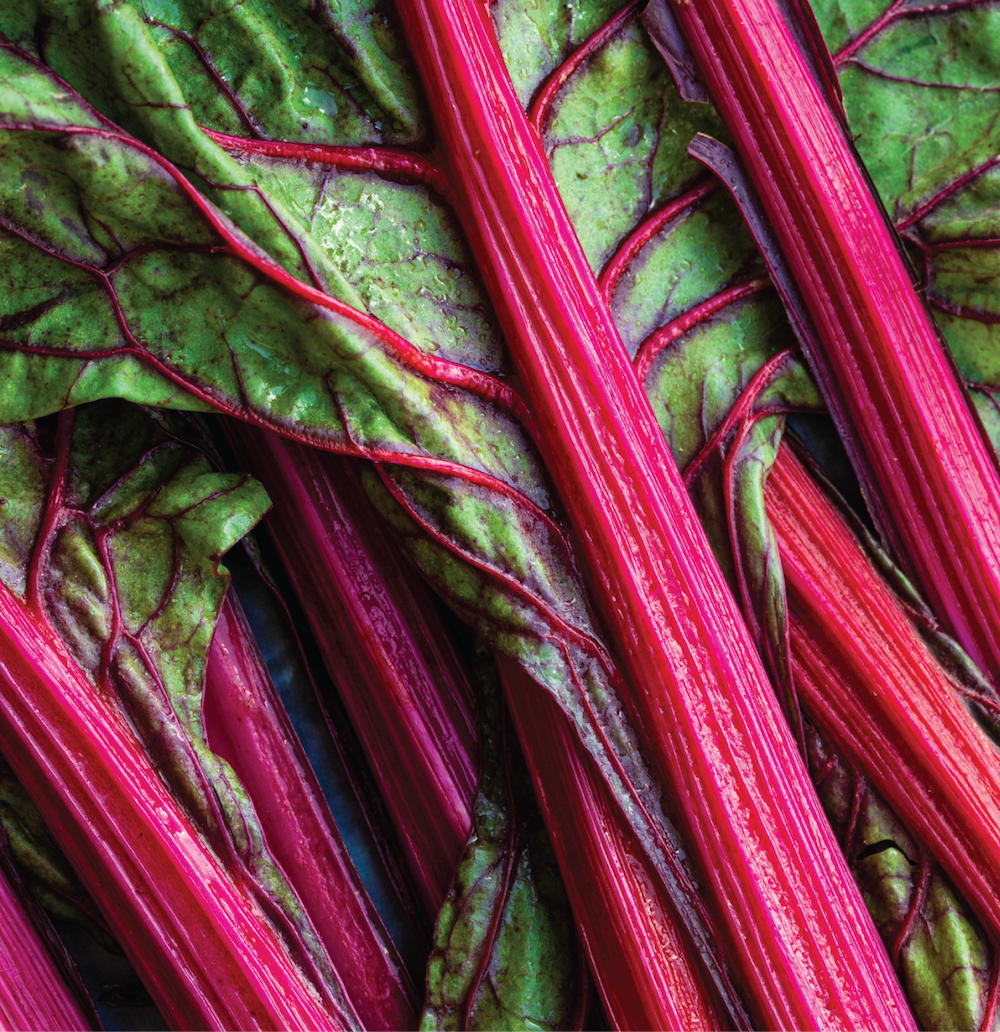 Gin & Tonic Kit: Rhubarb & Honey Gin